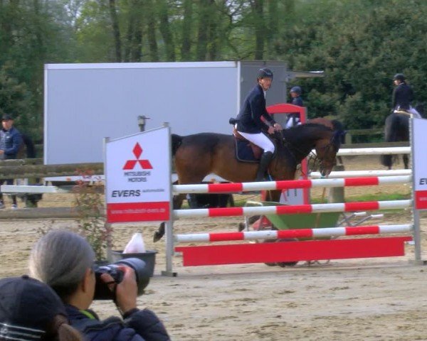Reitturnier Rhede 2024