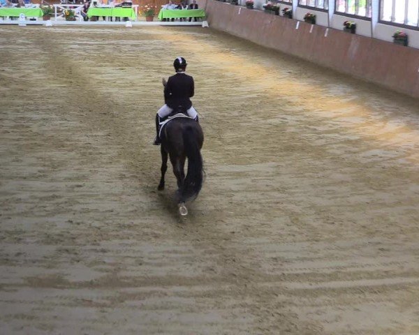 Reitturnier Werne-Lenklar 2024