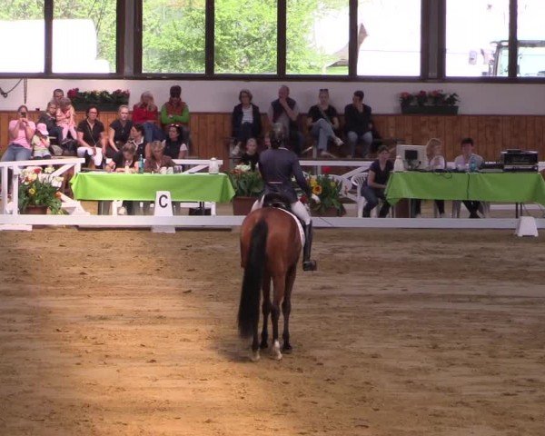 Reitturnier Werne-Lenklar 2024