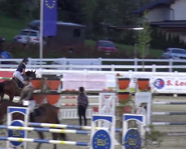 Reitturnier St. Margarethen 2024