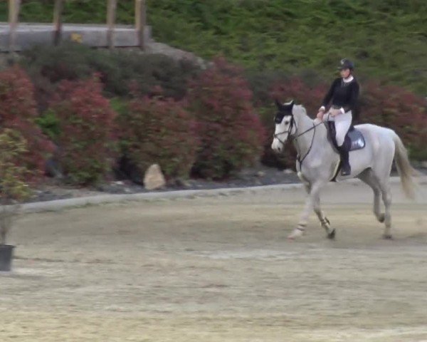 Reitturnier St. Margarethen 2024