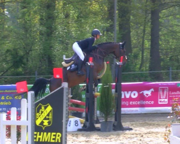 Reitturnier Rhede 2024