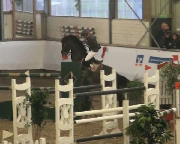 19. Winter Hallen Reit- und Springturnier 2011