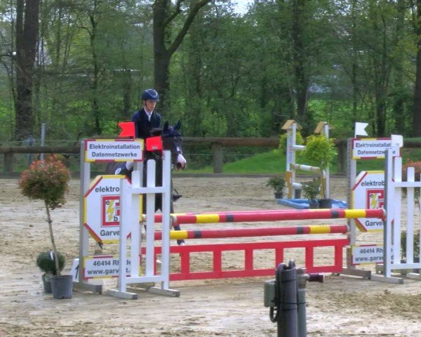 Reitturnier Rhede 2024