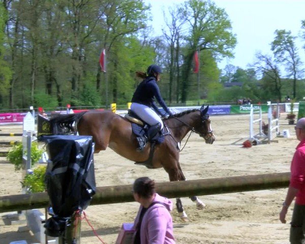 Reitturnier Rhede 2024
