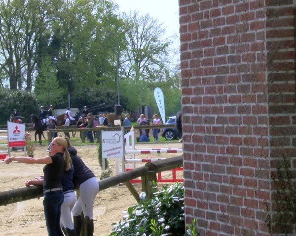 Reitturnier Rhede 2024