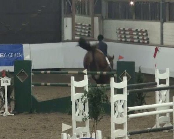 19. Winter Hallen Reit- und Springturnier 2011