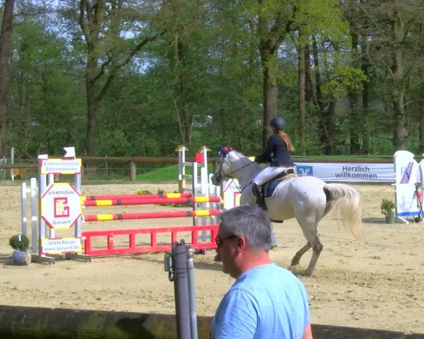 Reitturnier Rhede 2024