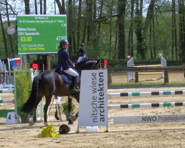 Reitturnier Rhede 2024