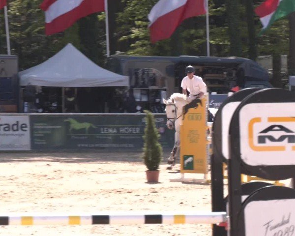 Reitturnier Ranshofen - Braunau am Inn 2024
