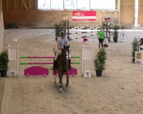 Reitturnier Rüti 2024