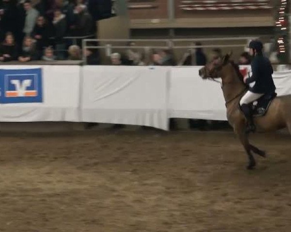 19. Winter Hallen Reit- und Springturnier 2011
