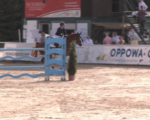 Reitturnier Ranshofen - Braunau am Inn 2024