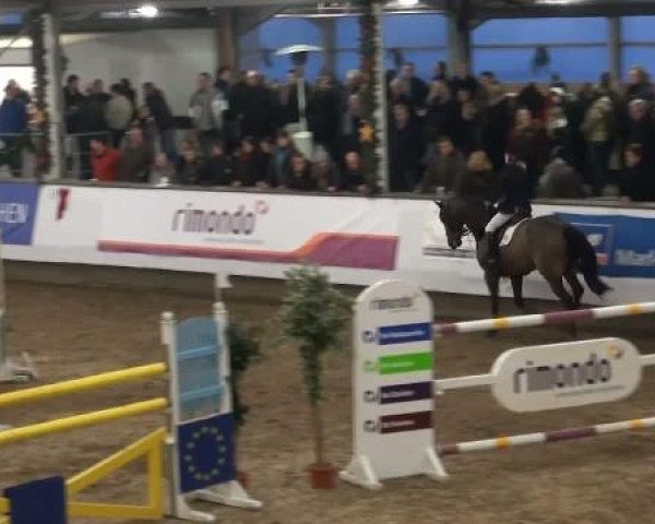 19. Winter Hallen Reit- und Springturnier 2011