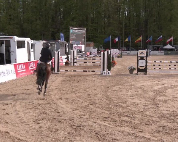 Reitturnier Ranshofen - Braunau am Inn 2024