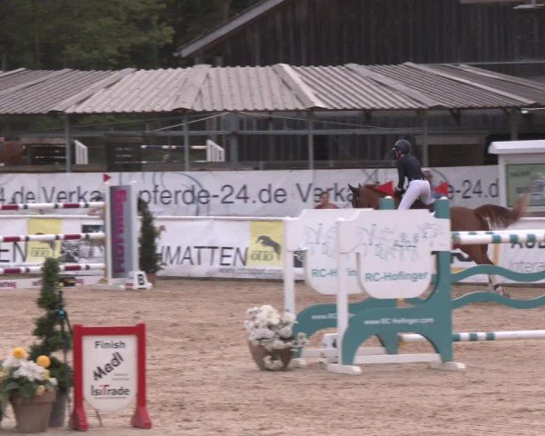 Reitturnier Ranshofen - Braunau am Inn 2024