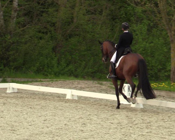 Reitturnier Elmlohe 2024
