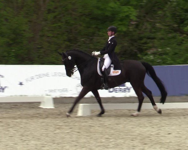 Reitturnier Elmlohe 2024