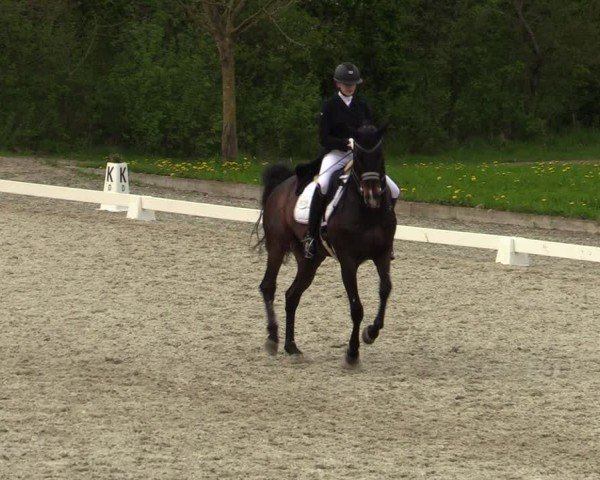 Reitturnier Elmlohe 2024