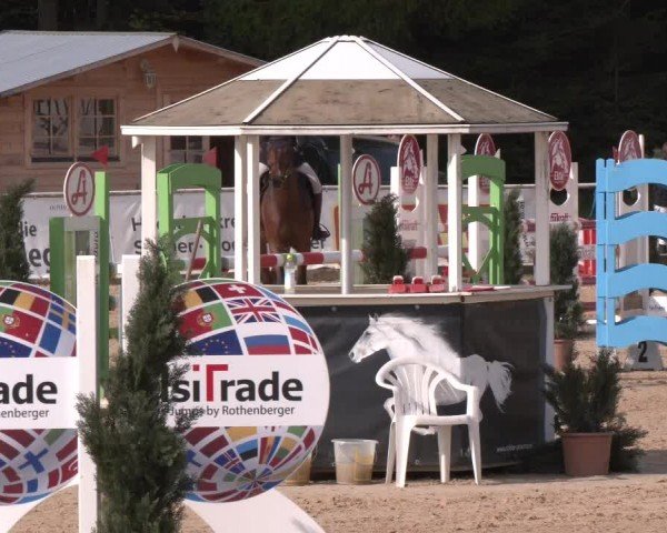 Reitturnier Ranshofen - Braunau am Inn 2024