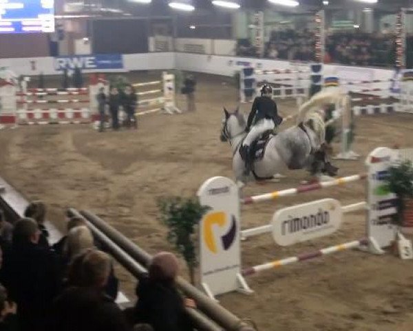 19. Winter Hallen Reit- und Springturnier 2011