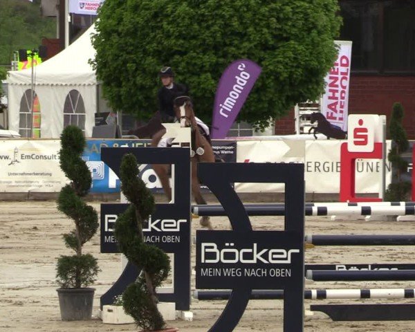Reitturnier Werne-Lenklar 2024