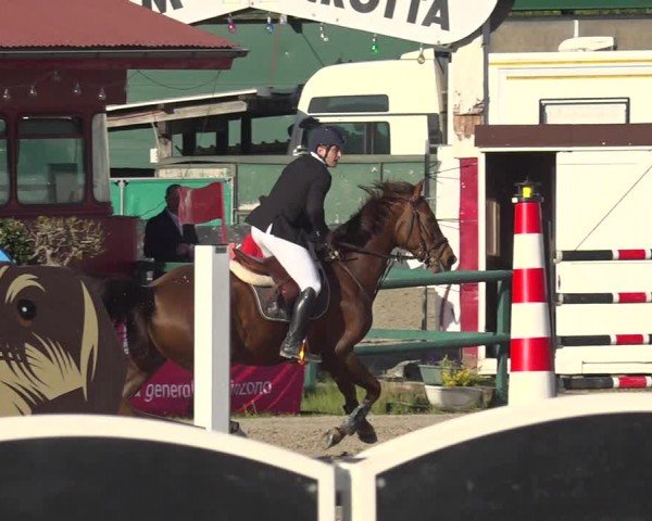 Reitturnier Giubiasco 2024