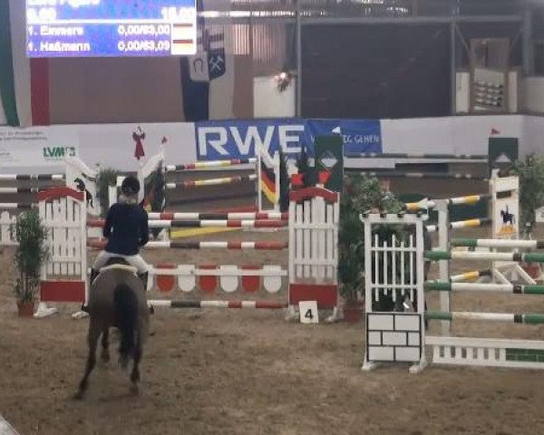 19. Winter Hallen Reit- und Springturnier 2011
