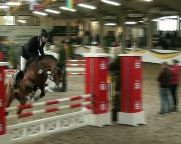20. Grosses Hallen Springturnier in Vreden