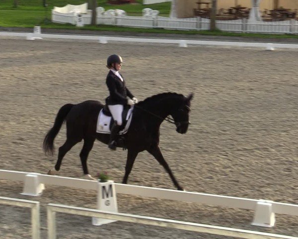 Reitturnier Elmlohe 2024