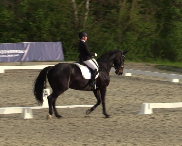 Reitturnier Elmlohe 2024