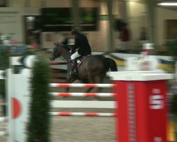 20. Grosses Hallen Springturnier in Vreden