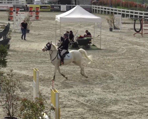 Reitturnier St. Margarethen 2024