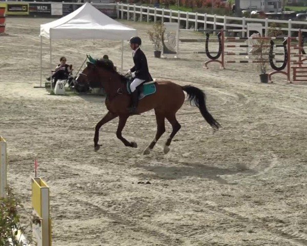 Reitturnier St. Margarethen 2024