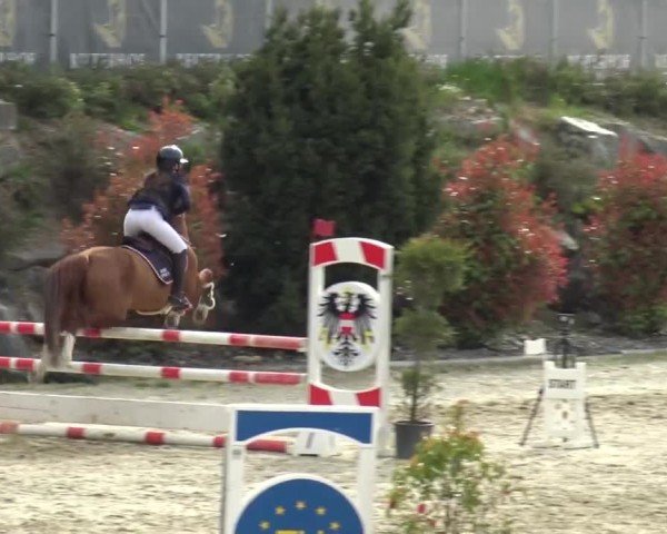 Reitturnier St. Margarethen 2024