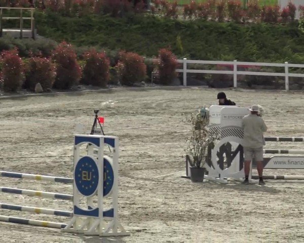 Reitturnier St. Margarethen 2024