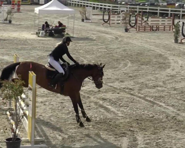 Reitturnier St. Margarethen 2024