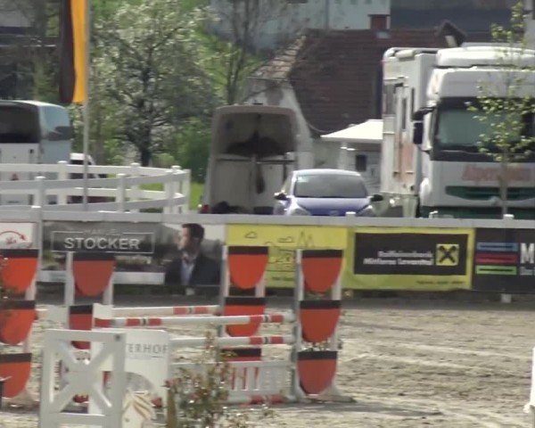 Reitturnier St. Margarethen 2024