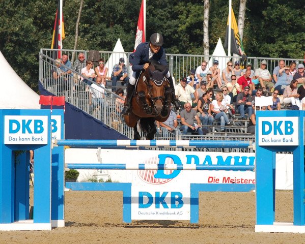 jumper Summersby (Hanoverian, 2009, from Stalypso)