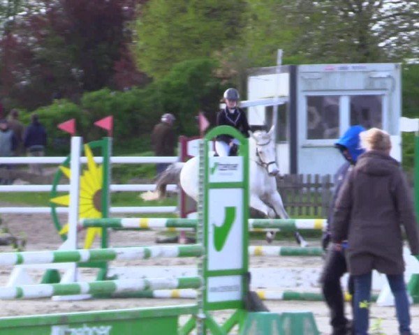 Reitturnier Breiholz "Am Moltkestein" 2024