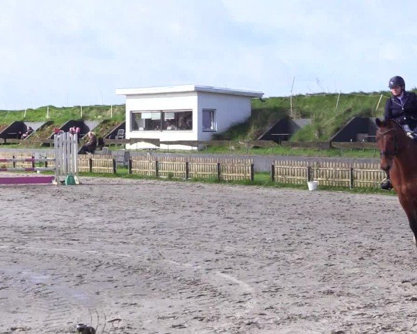 Reitturnier Breiholz "Am Moltkestein" 2024