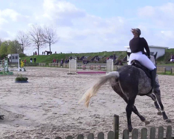 Reitturnier Breiholz "Am Moltkestein" 2024