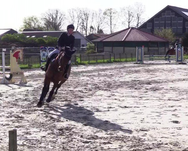 Reitturnier Breiholz "Am Moltkestein" 2024
