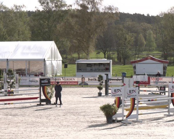 Reitturnier Westergellersen 2024