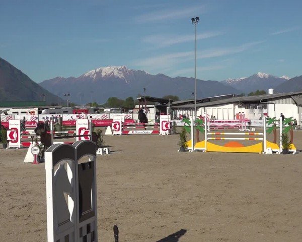 Reitturnier Giubiasco 2024