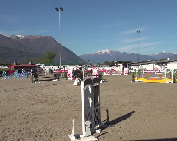 Reitturnier Giubiasco 2024