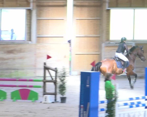Reitturnier Rüti 2024