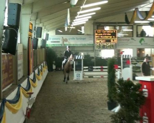 20. Grosses Hallen Springturnier in Vreden