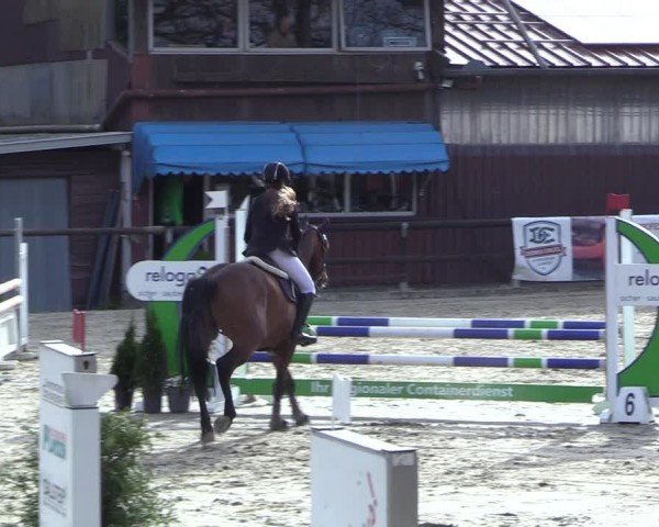 Reitturnier Marienheide-Kempershöhe 2024