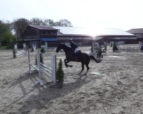 Reitturnier Marienheide-Kempershöhe 2024